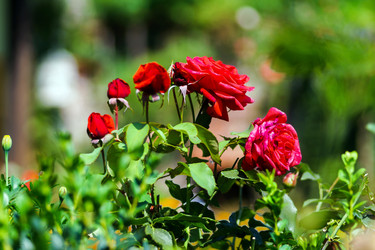 Similar image 10454723