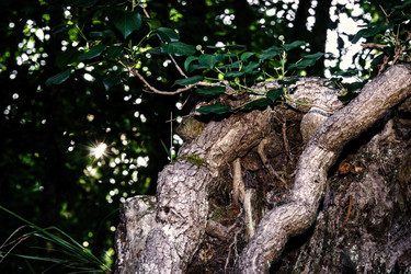 Similar image 10454725