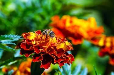 Similar image 10454727