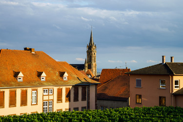 Similar image 10454731