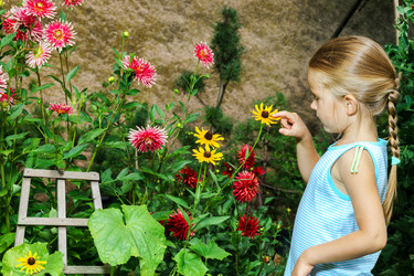 Similar image 10454735