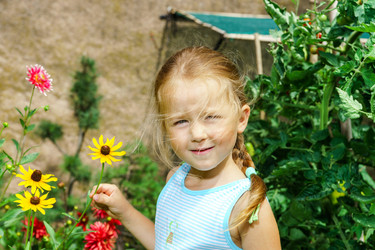 Similar image 10454736