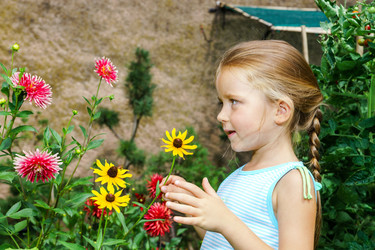 Similar image 10454742