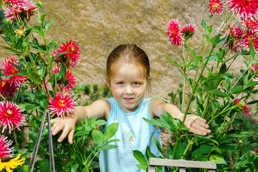 Similar image 10454743