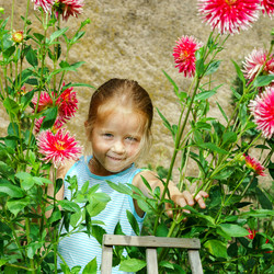 Similar image 10454745