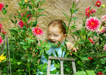 Similar image 10454746