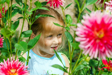 Similar image 10454747