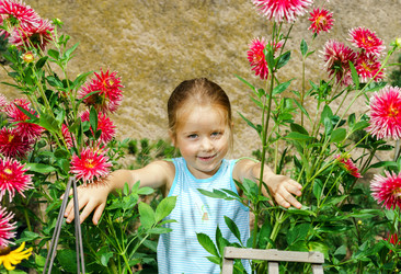 Similar image 10454748