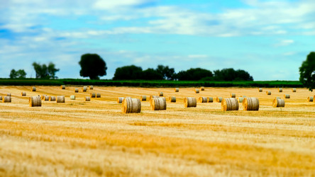 Similar image 10454750