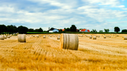 Similar image 10454751