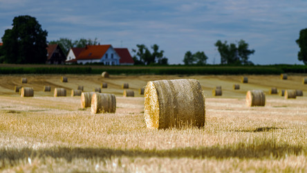 Similar image 10454753