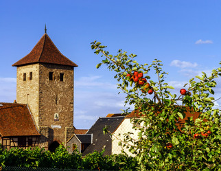 Similar image 10454765