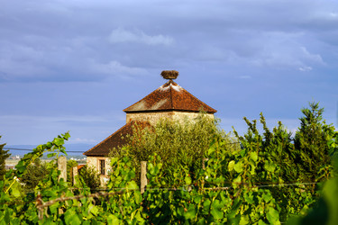 Similar image 10454770