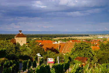 Similar image 10454772