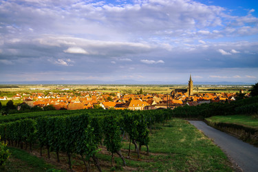 Similar image 10454773