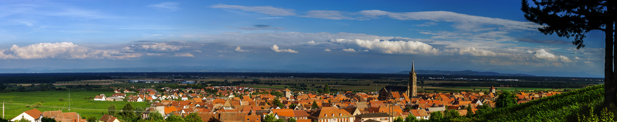 Similar image 10454776