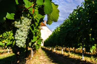 Similar image 10454781