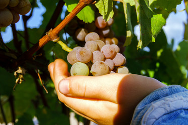 Similar image 10454782