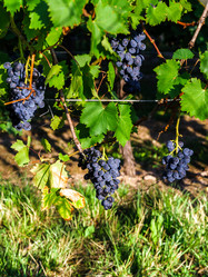 Similar image 10454784