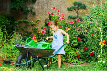 Similar image 10454786