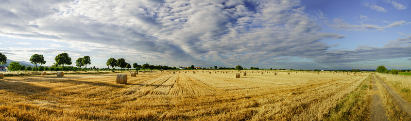 Similar image 10454816