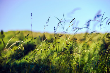 Similar image 10454817