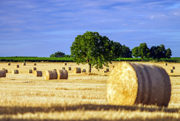 Similar image 10454820