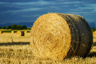 Similar image 10454822