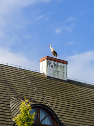 Similar image 10454825