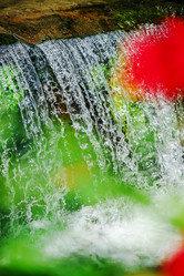 Similar image 10454828