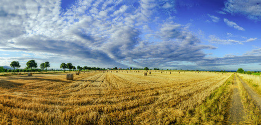 Similar image 10454829