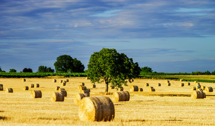 Similar image 10454830