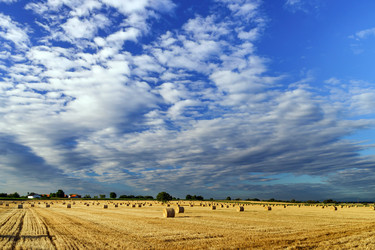 Similar image 10454831