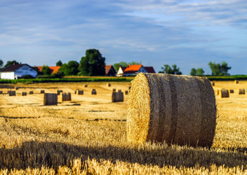 Similar image 10454839