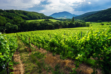 Similar image 10454845