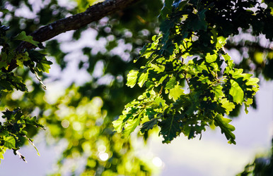 Similar image 10454844