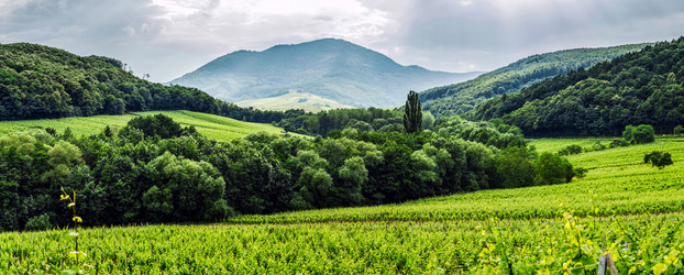 Similar image 10454850