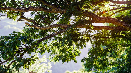 Similar image 10454849