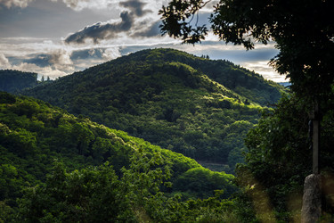 Similar image 10454852