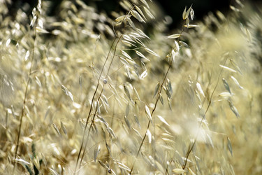 Similar image 10454854