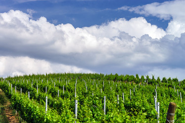 Similar image 10454853