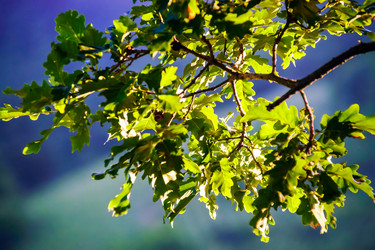 Similar image 10454856