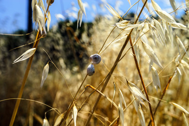 Similar image 10454857