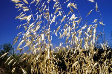 Similar image 10454861