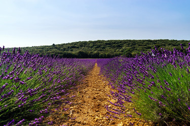 Similar image 10454862