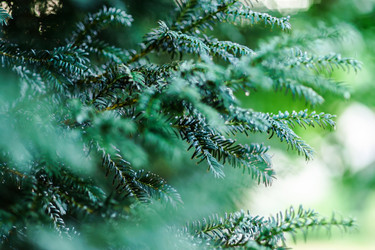 Similar image 10454869