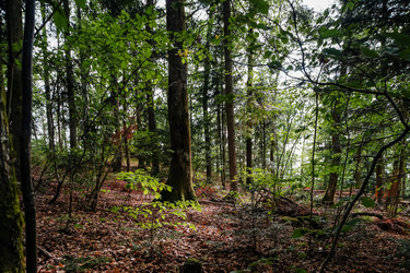 Similar image 10454874