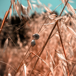 Similar image 10454875