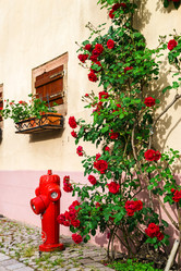 Similar image 10454877