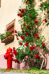 Similar image 10454882